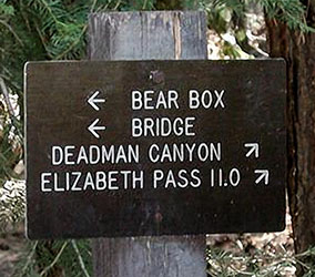bear box